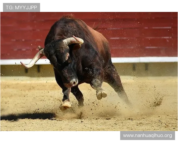在斗牛小游戏中如何合理押注实现收益最大化的实用策略分享